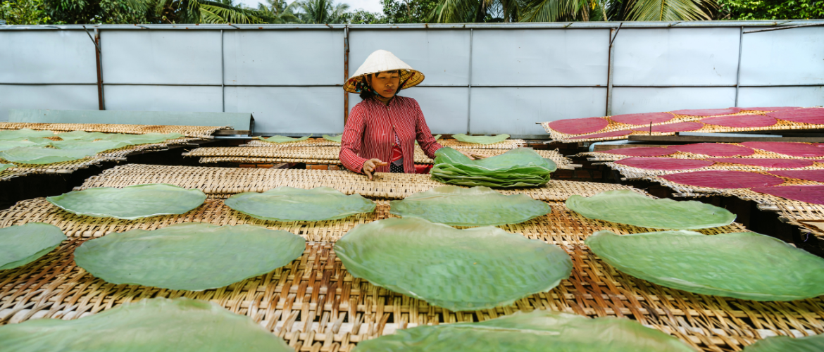 Traditional and authentic vietnamese rice paper crafting