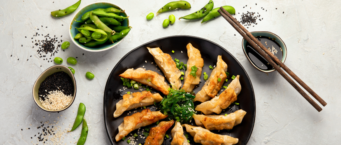 Premium frozen Japanese and Asian goods - Explore quality gyoza and more